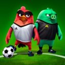 Angry Birds Goal (много денег)