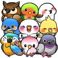 Bird Life (много денег)