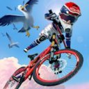 Downhill Masters (бесконечные монетки и алмазы)