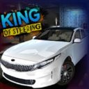King of Steering (все разблокировано)