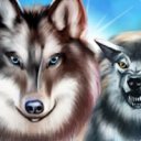 Wolf: The Evolution (бесконечные деньги)