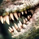 Durango: Wild Lands (полная версия)
