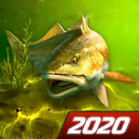 My Fishing World - Реальная рыбалка (много денег и золото / открыто VIP)