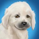 PetWorld (полная версия)